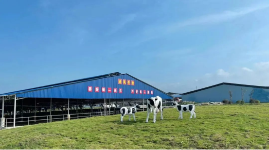 奶源建設再提速！田東縣皇氏奶業(yè)示范區正式投產(chǎn)！