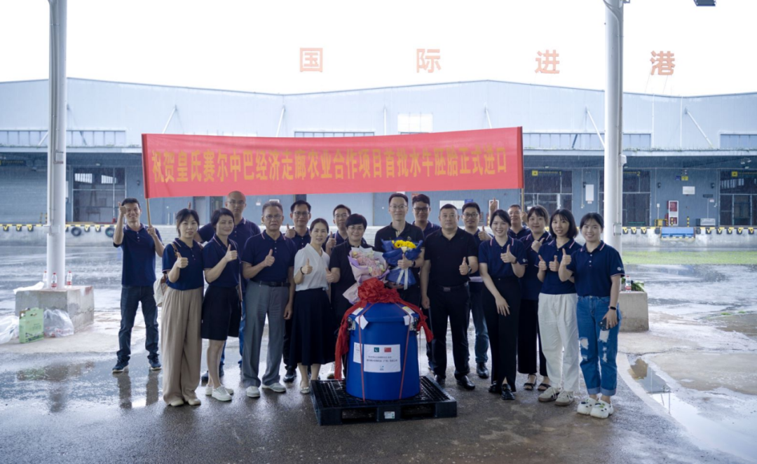 重磅！全國首批5000枚進(jìn)口巴基斯坦優(yōu)質(zhì)奶水牛胚胎入境，第一時(shí)間落戶(hù)皇氏集團投入奶水牛改良繁育生產(chǎn)